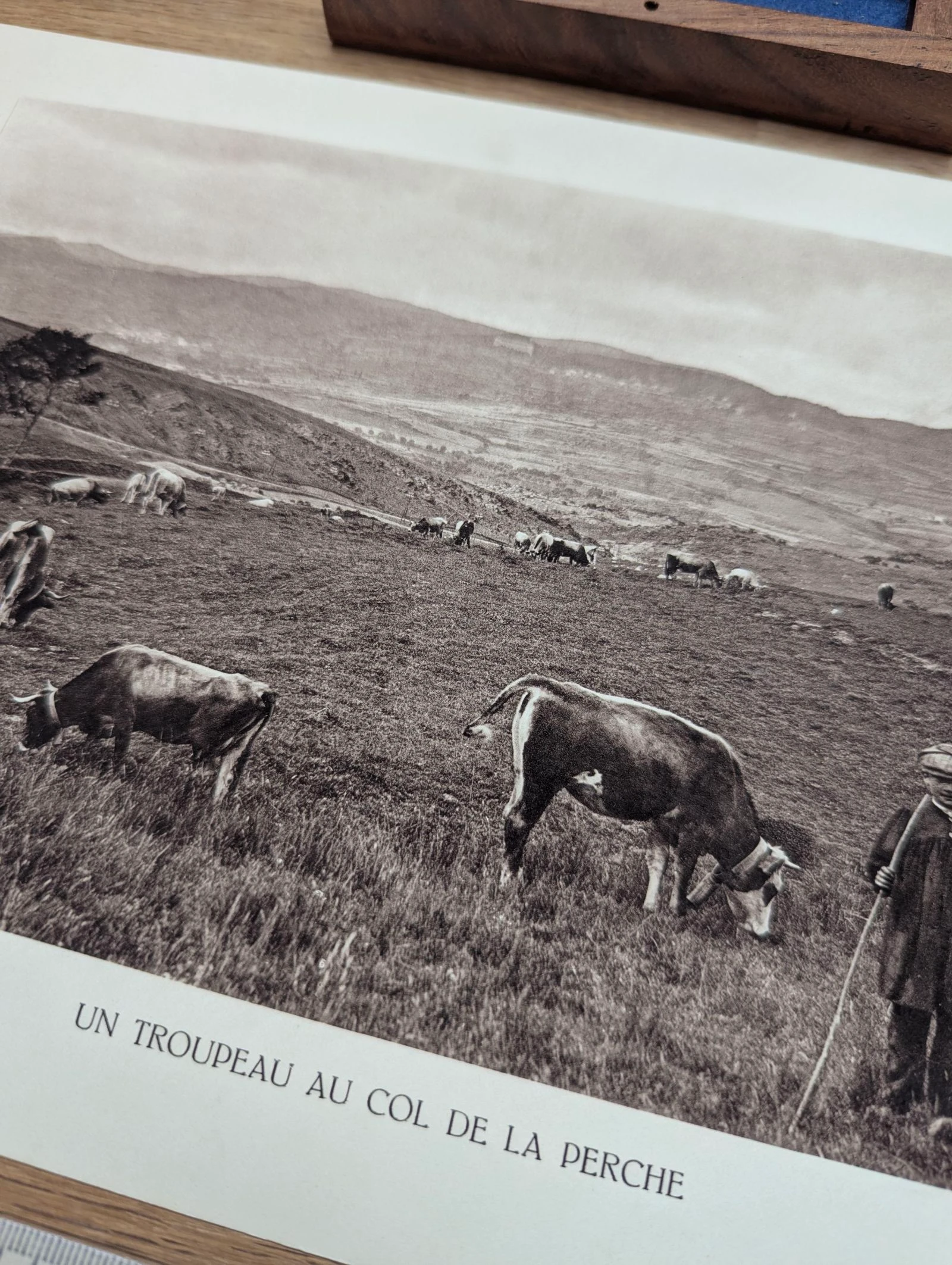 Colina de la Perche, Pirineus-Orientais, placa fotográfica impressa em 1937. – photo 7